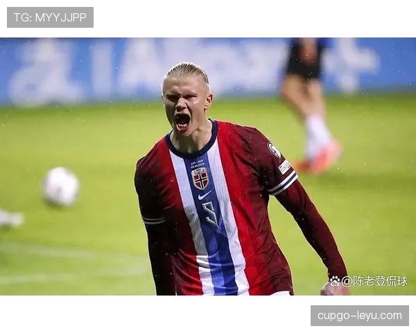 哈兰德入选FIFA最佳阵容，新赛季状态备受期待