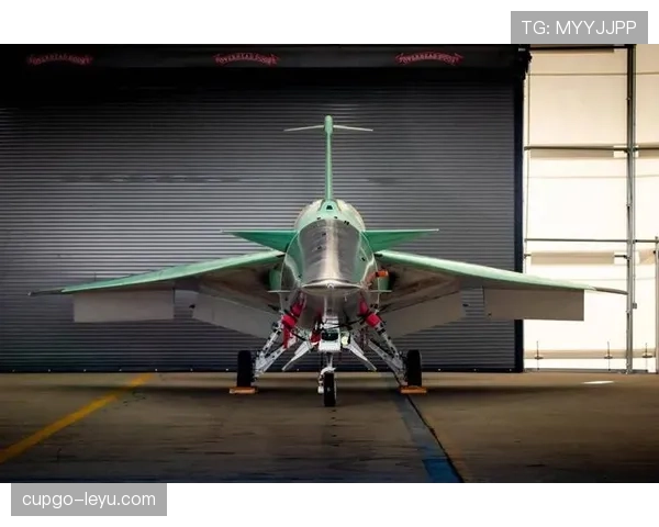 阿玛雷挡拆制造错位提升内线得分效率明显超越同时期大个子