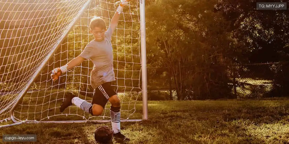 📺高清直播零时差！⚽️ 一键开启沉浸式观赛体验！